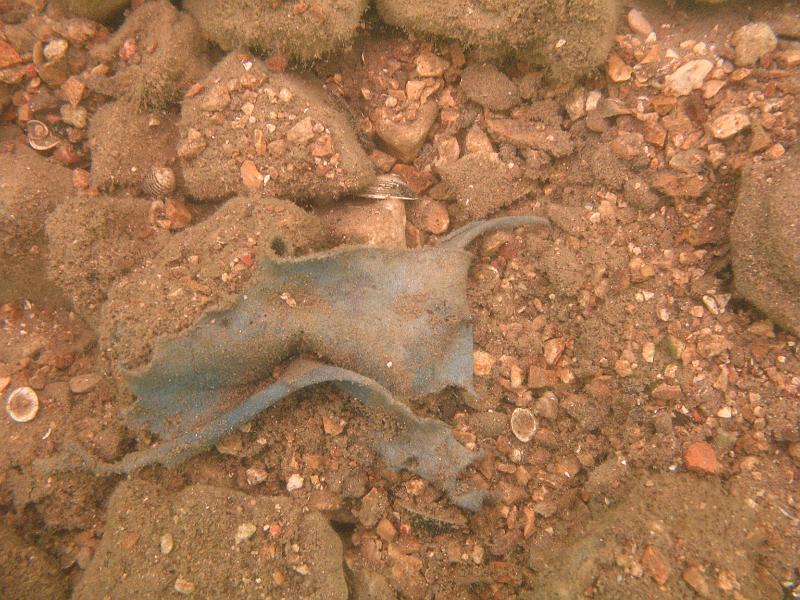 Scuba Table Rock 110.jpg